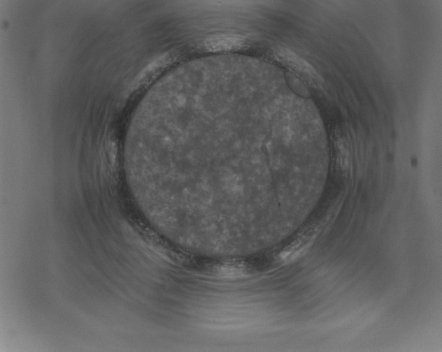 X0000077290308200611101349