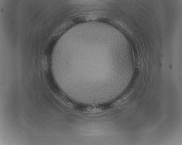 X0000077290311200611101349