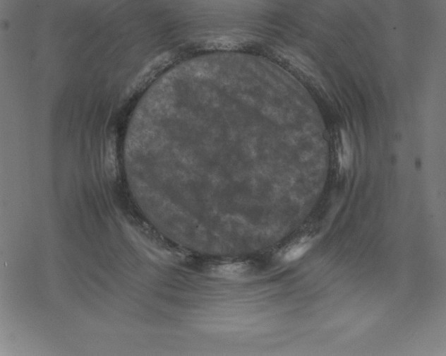 X0000077290312200611101349