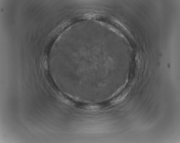 X0000077290313200611101349