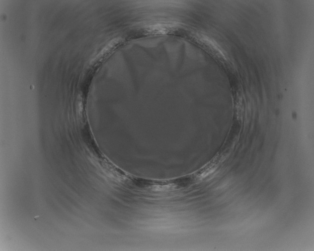 X0000077290314200611101349