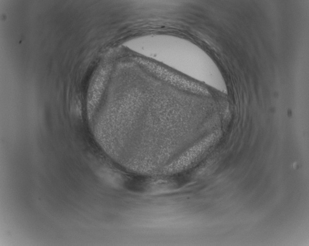 X0000077290315200611101349