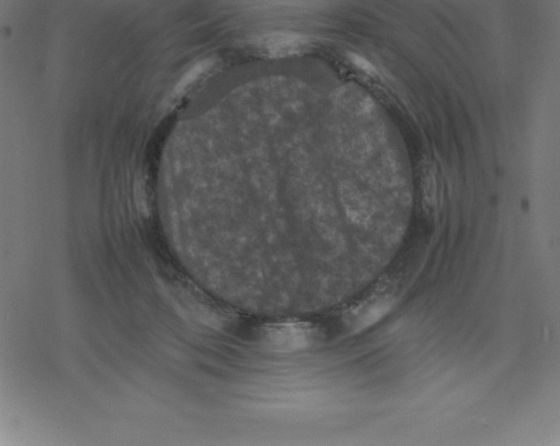 X0000077290316200611101349