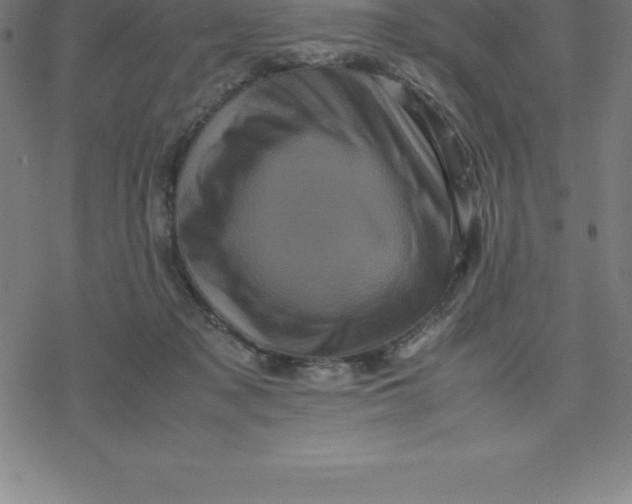 X0000077290317200611101349