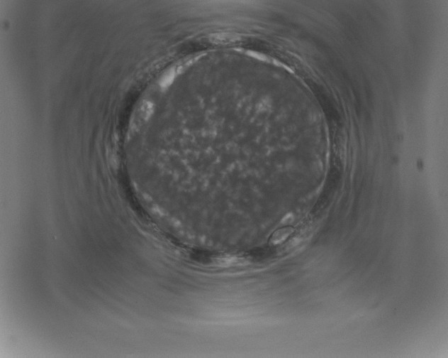 X0000077290319200611101349