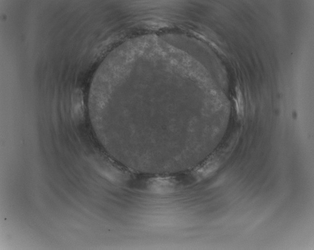 X0000077290320200611101349