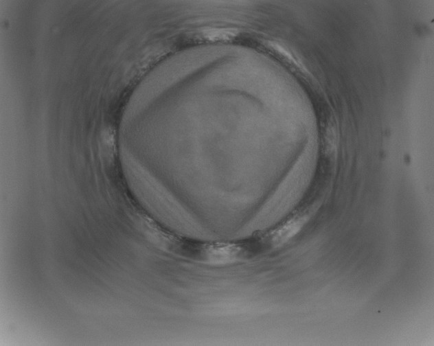 X0000077290321200611101349