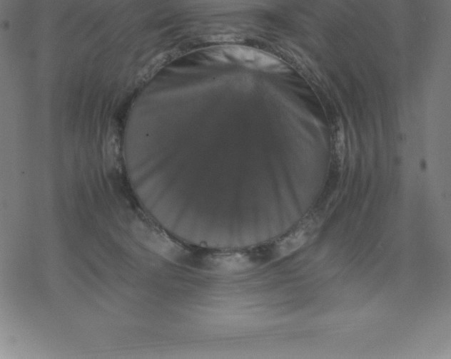 X0000077290322200611101349