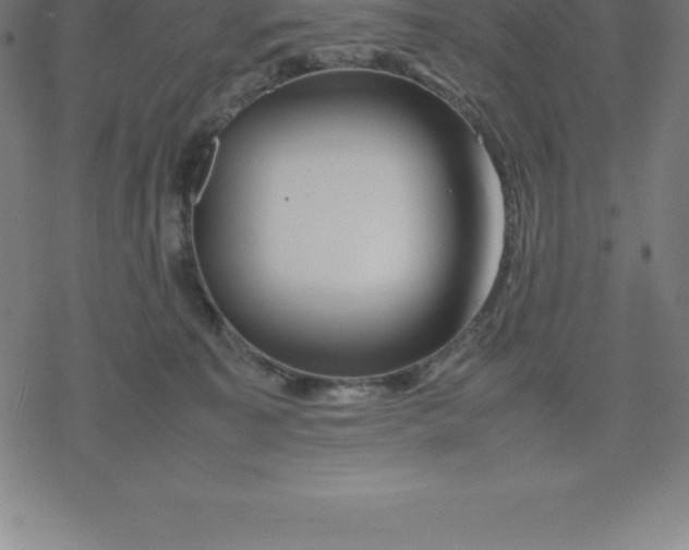 X0000077290323200611101349