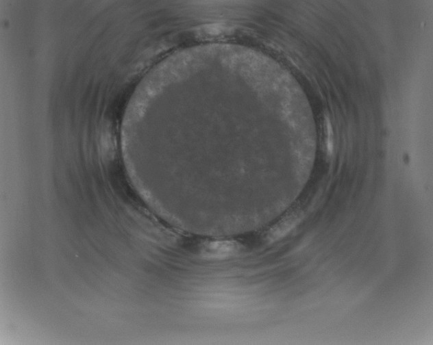 X0000077290324200611101349