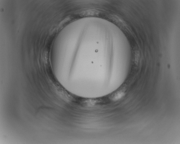 X0000077290326200611101349