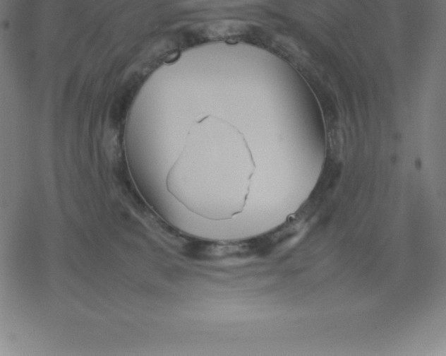 X0000077290327200611101349