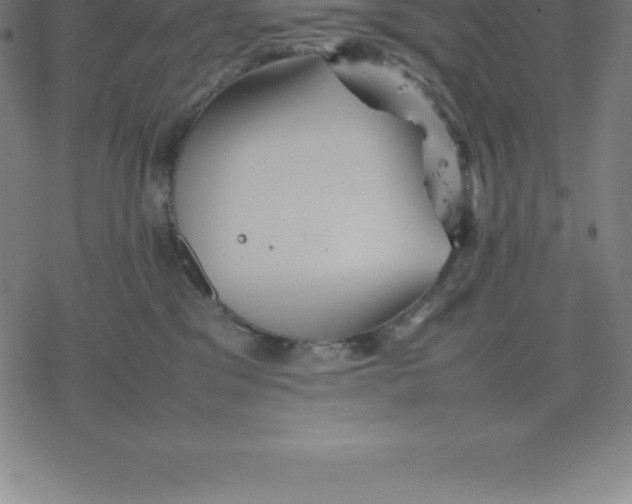 X0000077290329200611101349