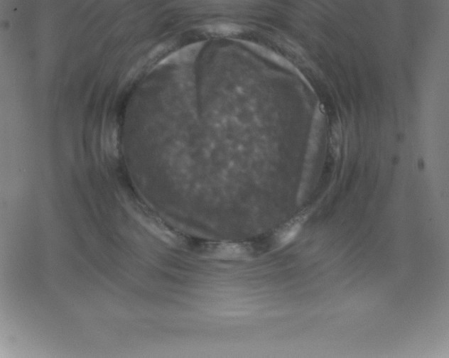 X0000077290330200611101349