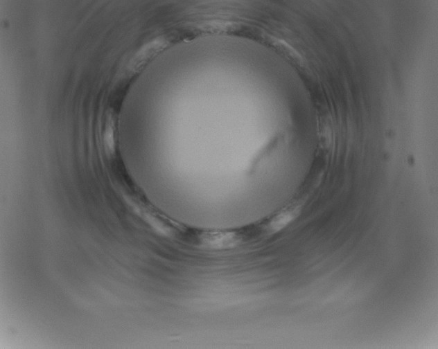 X0000077290334200611101349