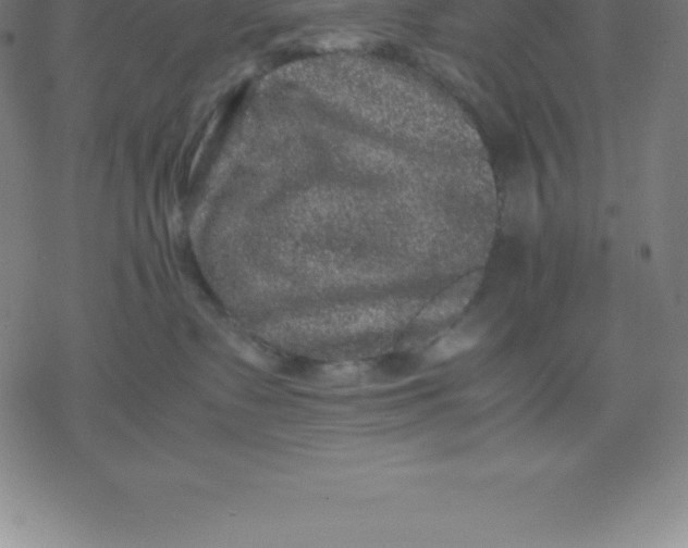 X0000077290335200611101349