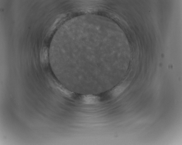 X0000077290336200611101349