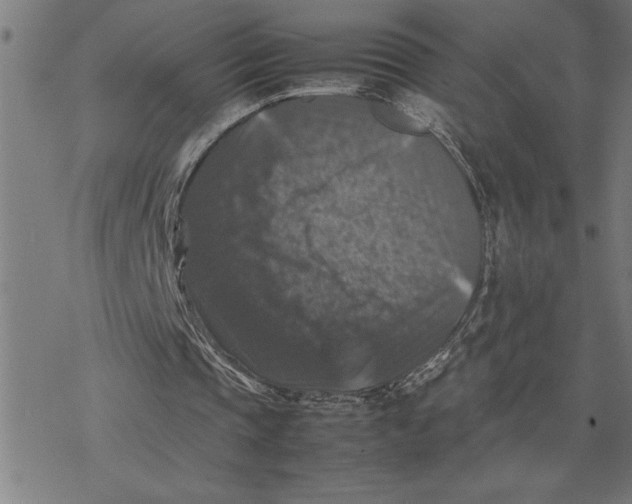 X0000077290337200611101348