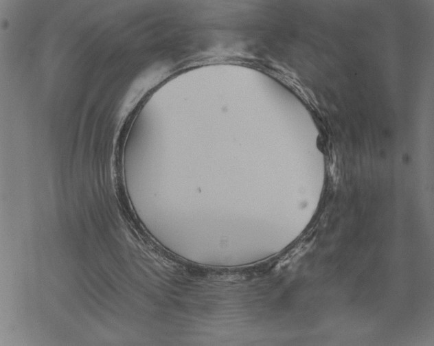 X0000077290340200611101348