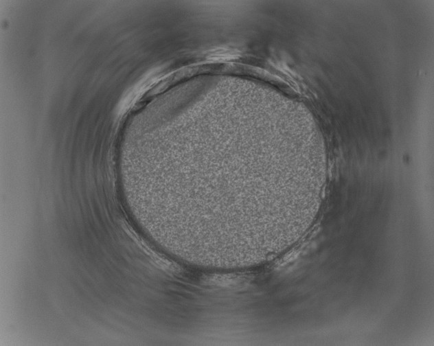 X0000077290341200611101348