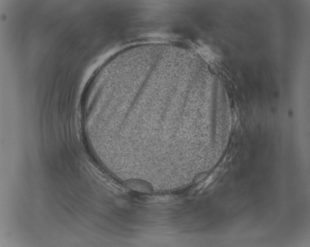 X0000077290342200611101348