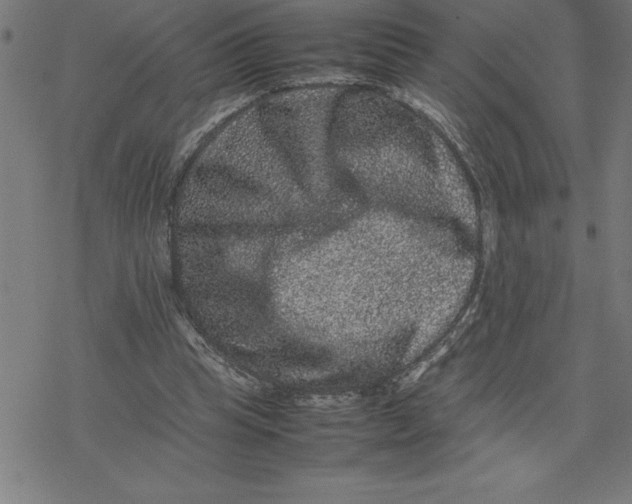 X0000077290345200611101348