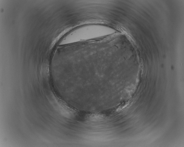 X0000077290348200611101348