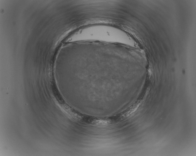 X0000077290352200611101348