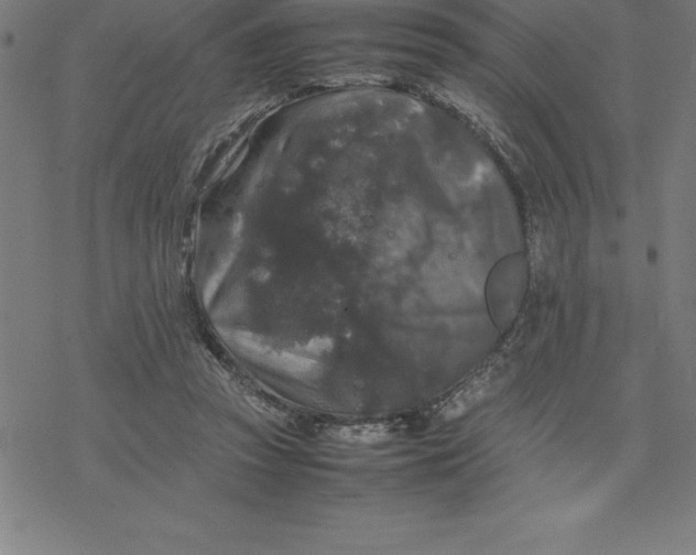 X0000077290353200611101348