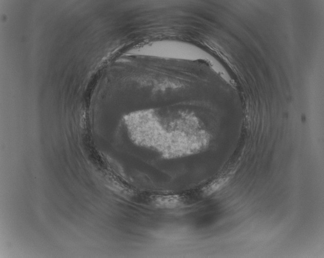 X0000077290355200611101348