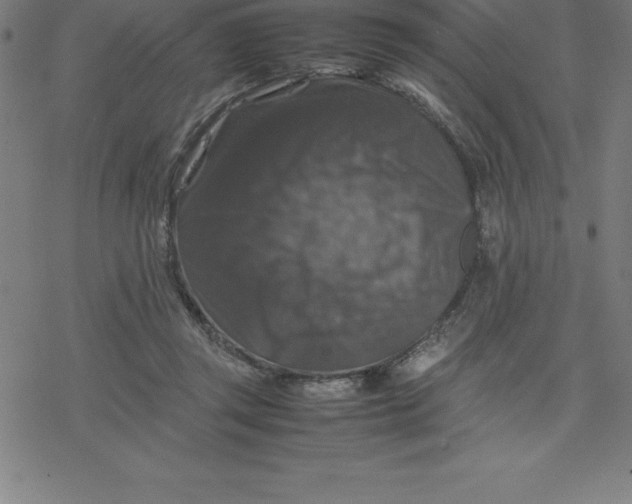 X0000077290357200611101348