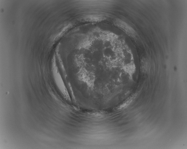 X0000077290358200611101348