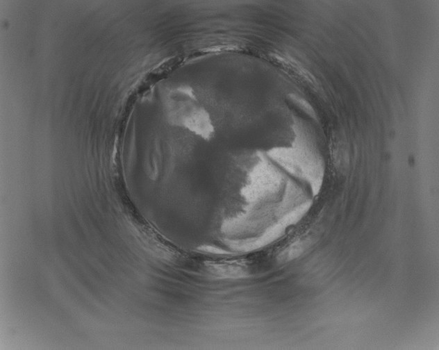 X0000077290359200611101349