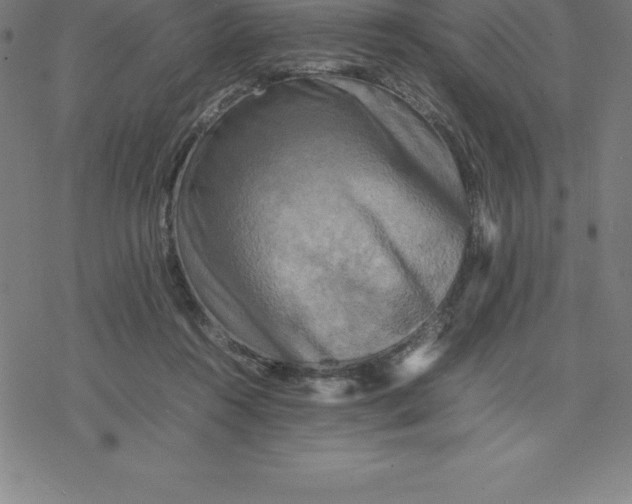 X0000077290360200611101349