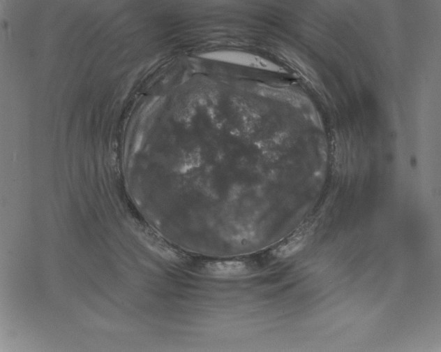 X0000077290361200611101349