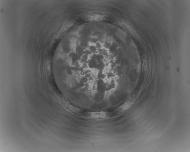 X0000077290363200611101349