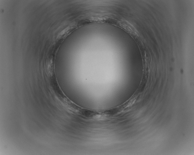 X0000077290364200611101349