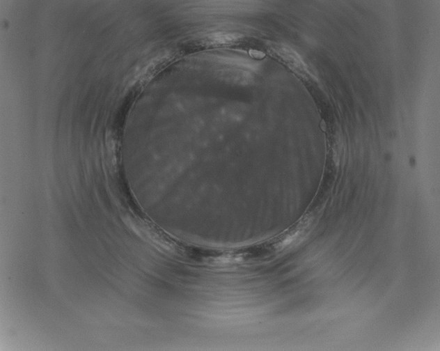 X0000077290366200611101349