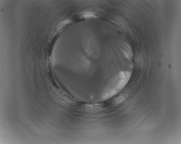 X0000077290367200611101349