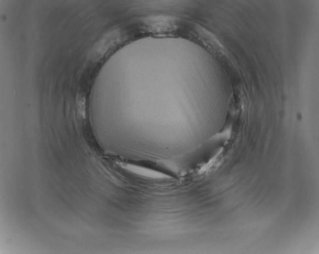 X0000077290368200611101349