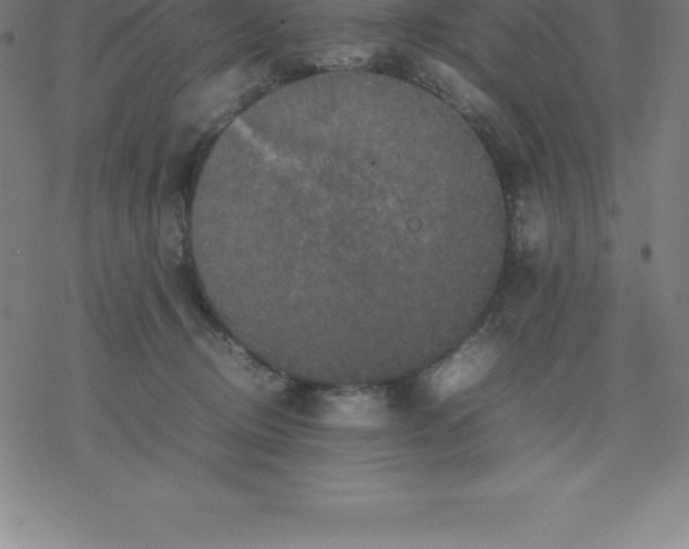 X0000077290370200611101349