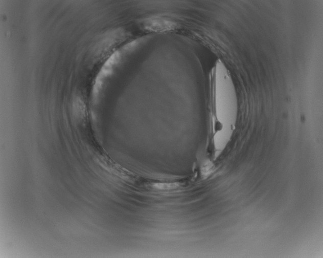 X0000077290371200611101349