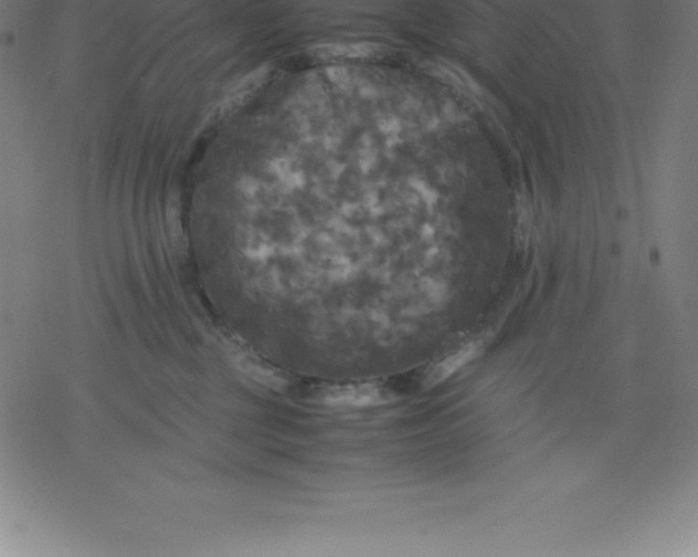 X0000077290377200611101349