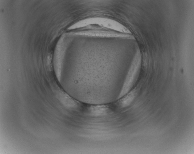 X0000077290378200611101349