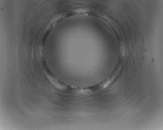 X0000077290379200611101349