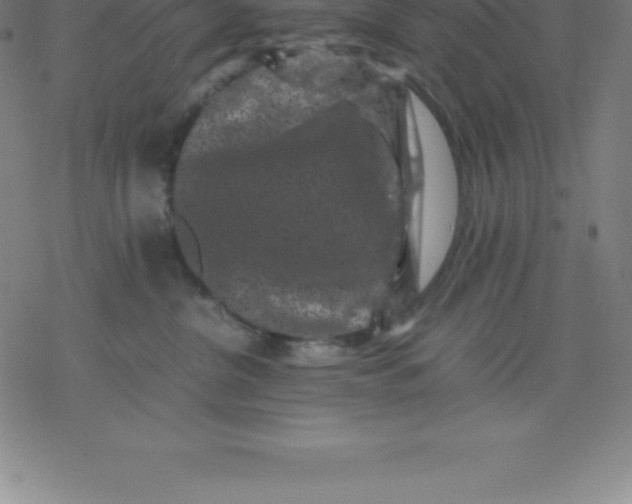 X0000077290380200611101349