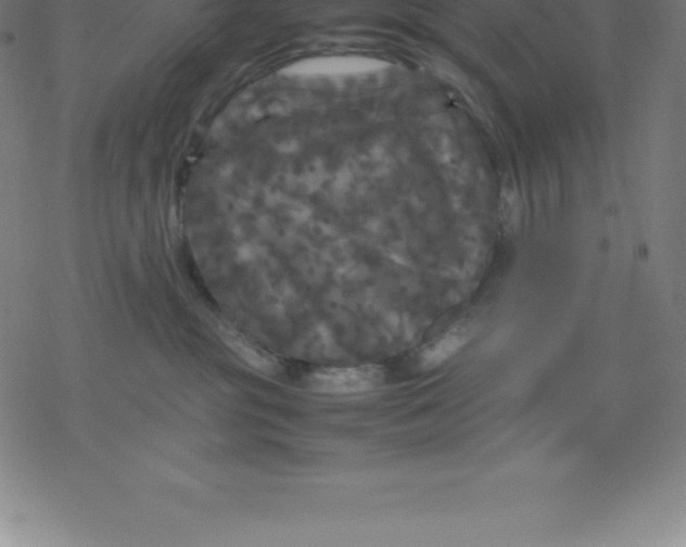 X0000077290381200611101349