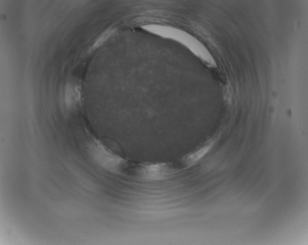 X0000077290382200611101349