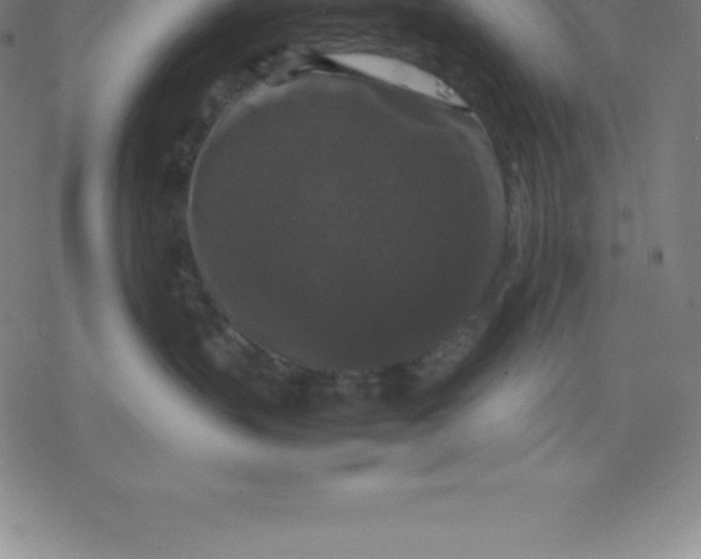 X0000077290383200611101349