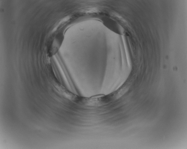 X0000077290384200611101349